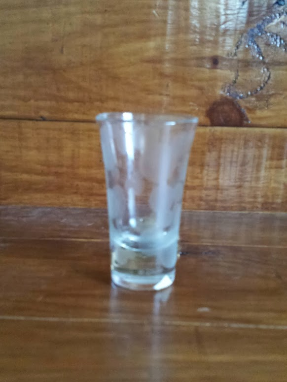 Mickey Mouse etched shot glass